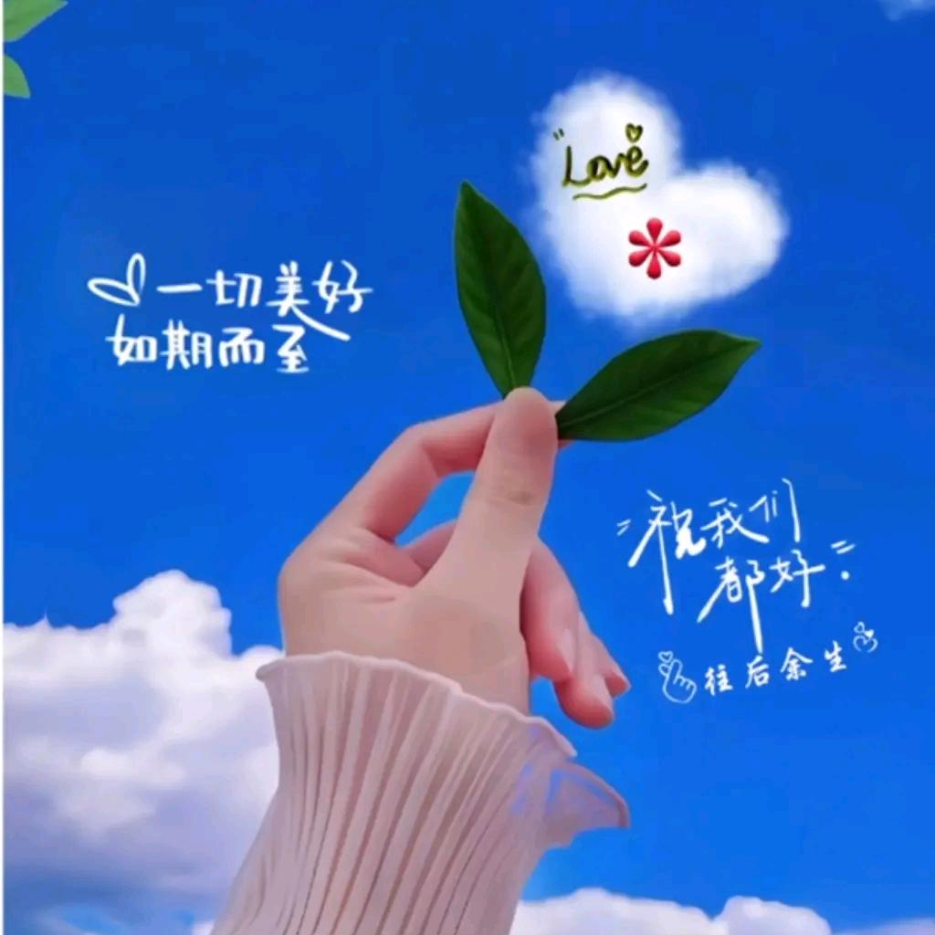 梦婷