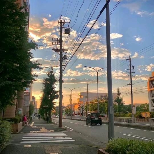 晚晚夏夏.