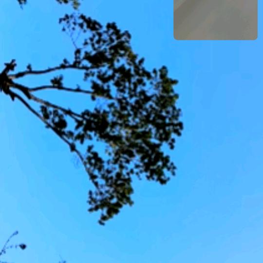 爱唱但不会唱歌的陪读妈妈