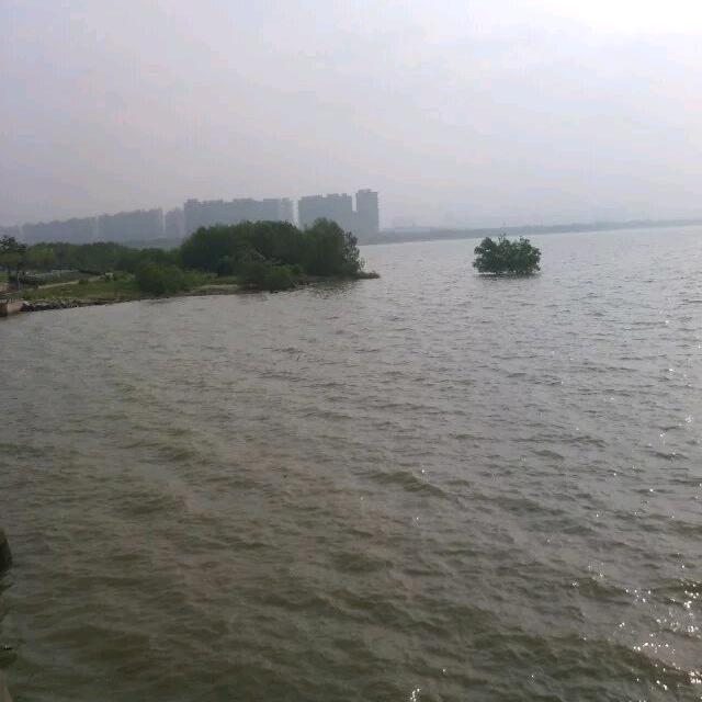 你是我高攀不起女人