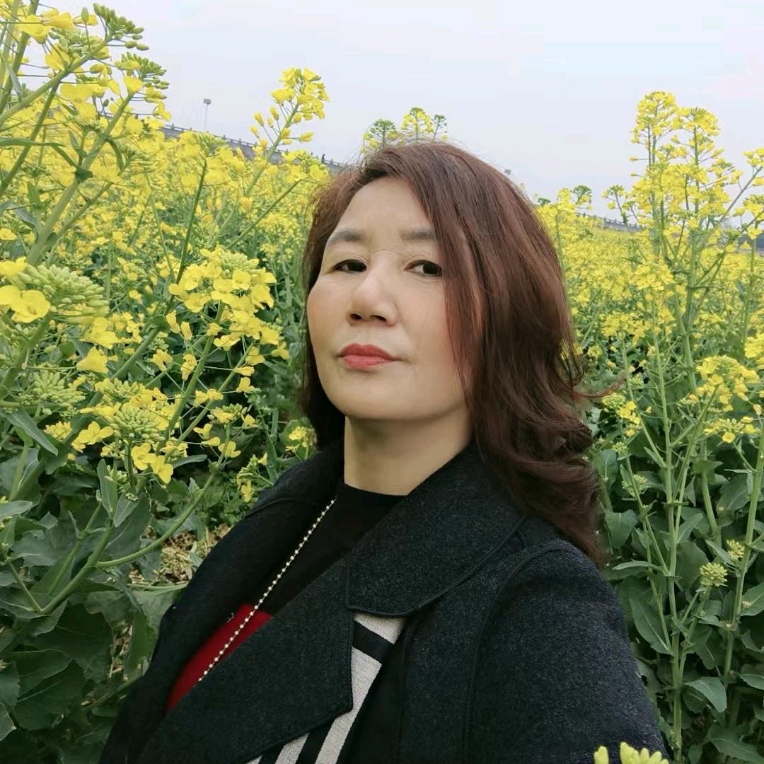 自由飞翔