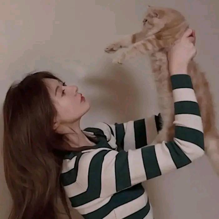 陈三小姐