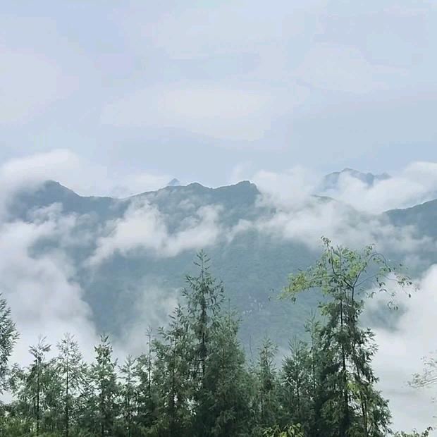 我想看看世界