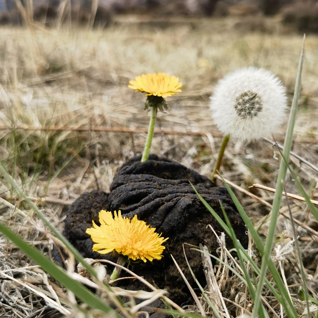 爱喝奶茶的小胖子(＾∇＾)🧋