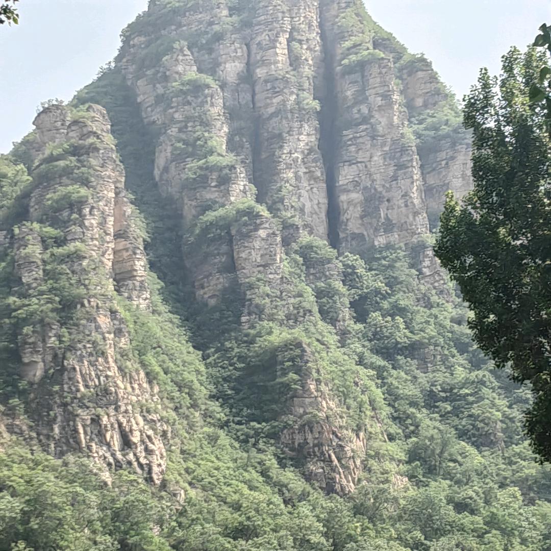 期潘未来