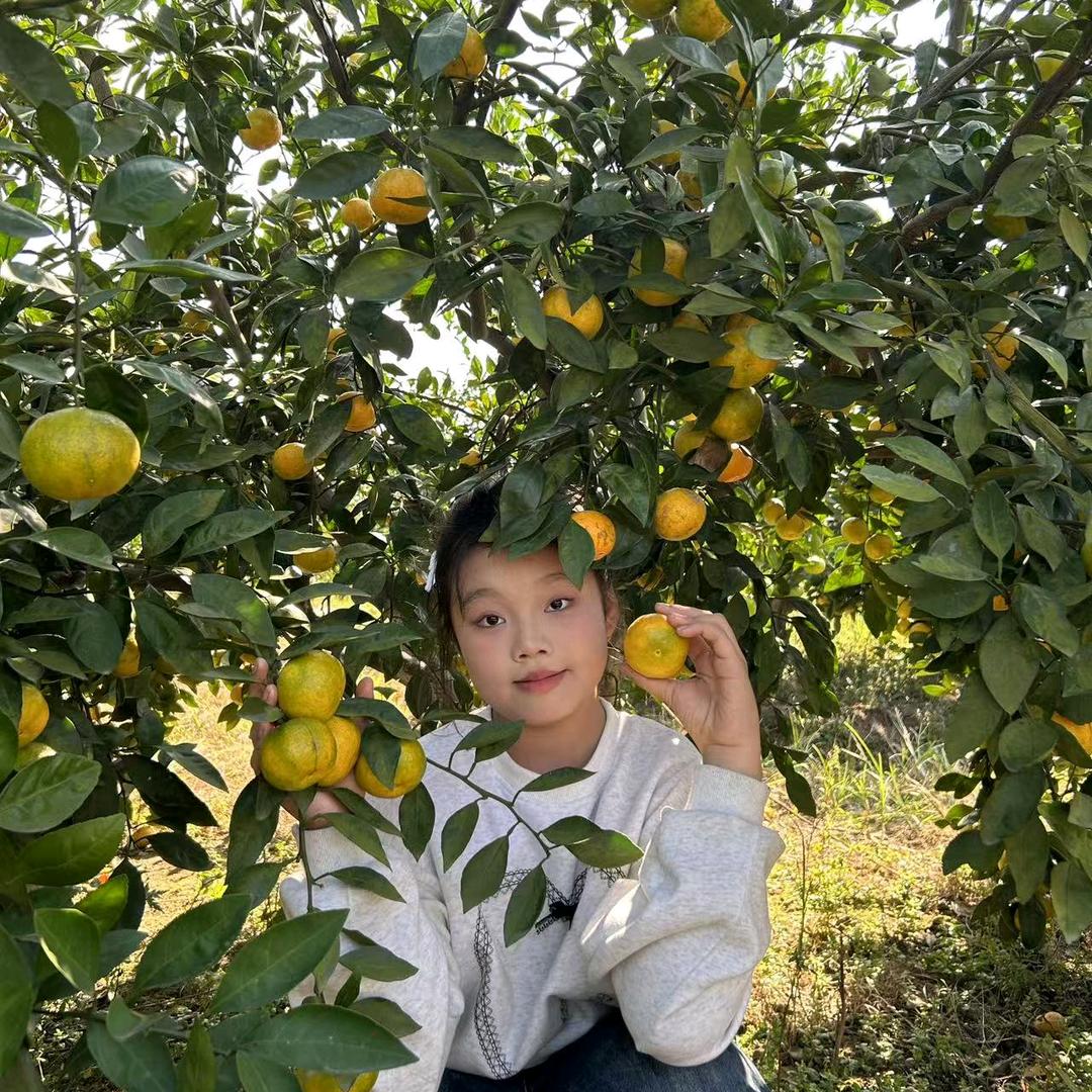 欢迎大家来摘橘子也可以来摘也可以送货