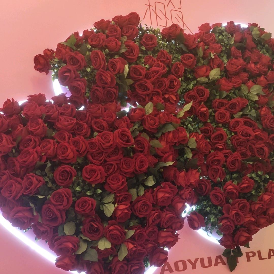 🥀᭄小精灵ྀ💕