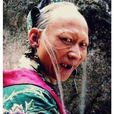 风枫疯