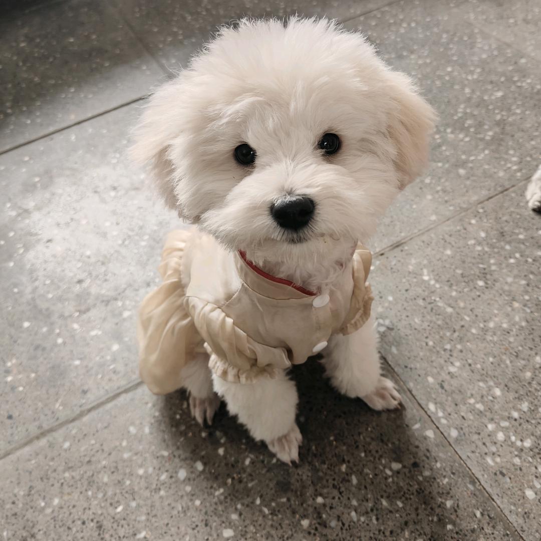 @小姚