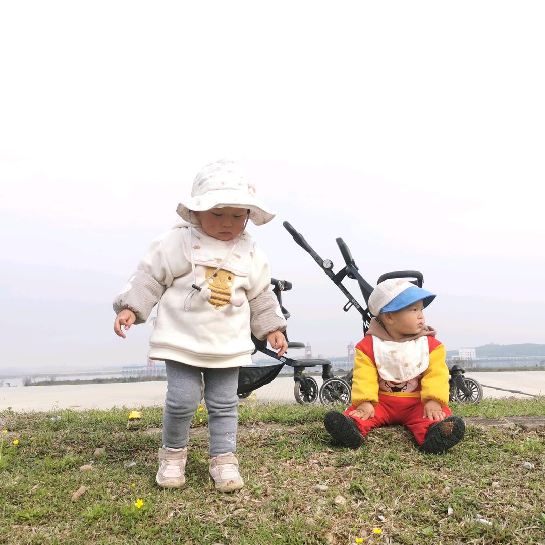 两只小熊（有关必回）