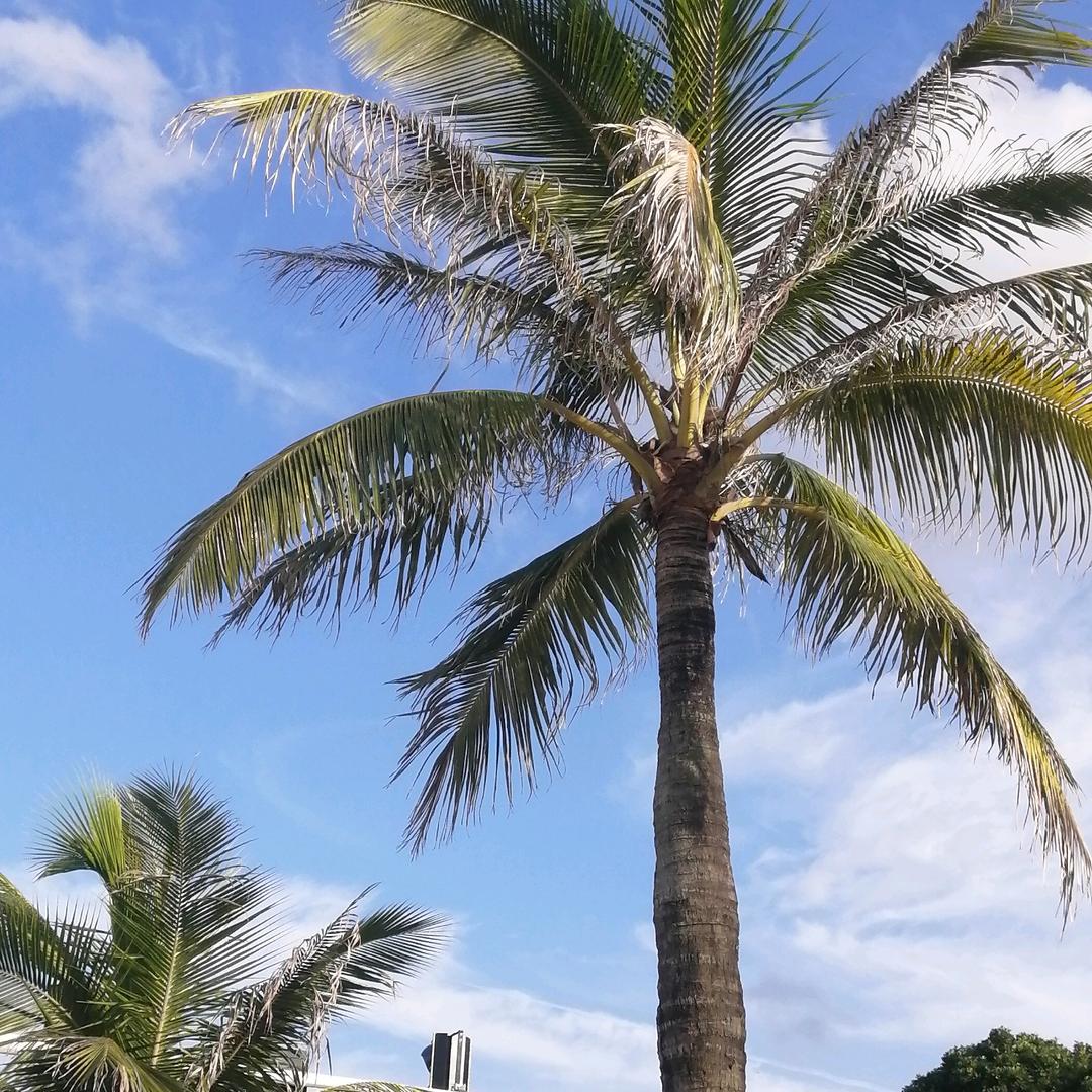 ℳ໌້ᮨ郑ꦿ໌້ᮨ⸙钱去赶集