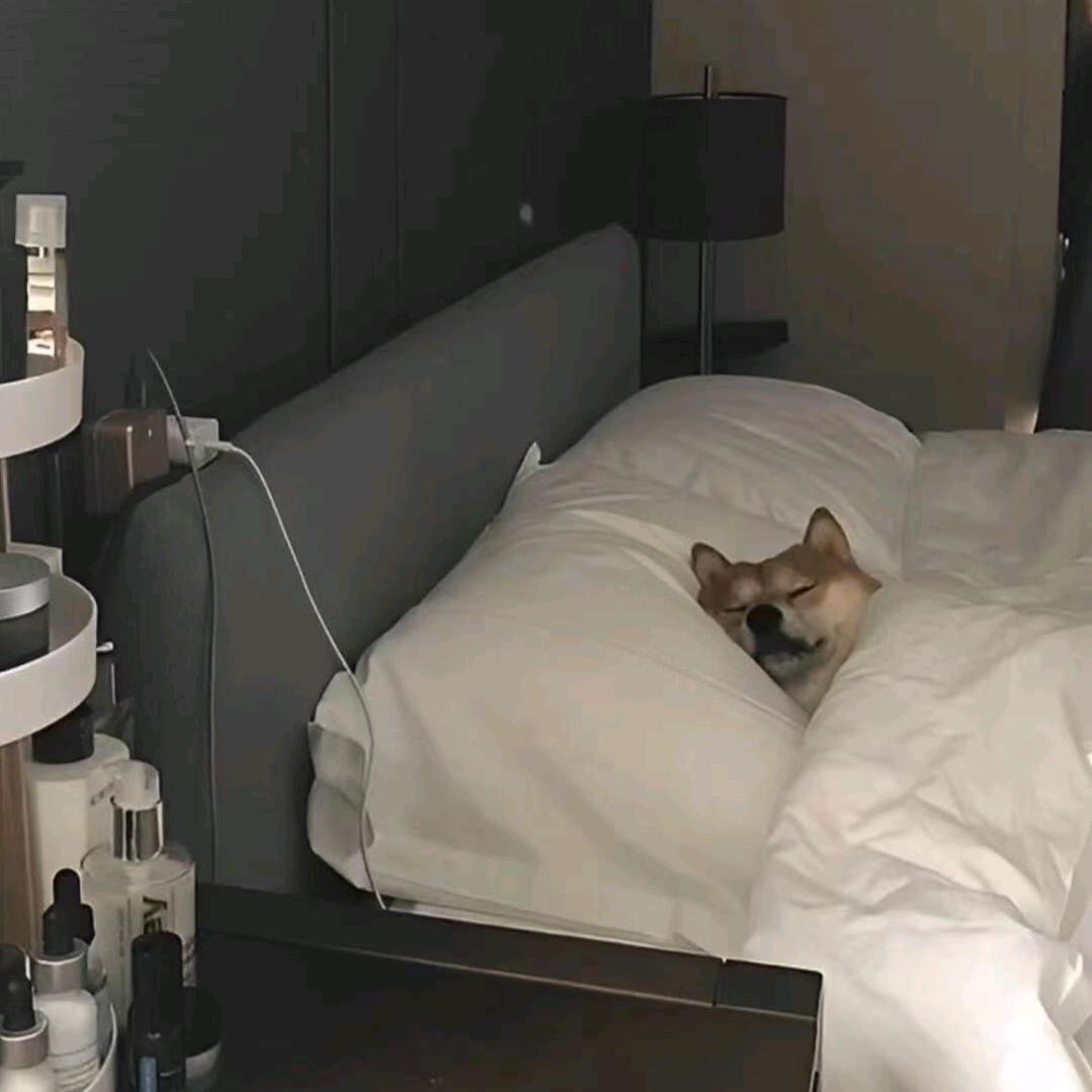 简优秀啊