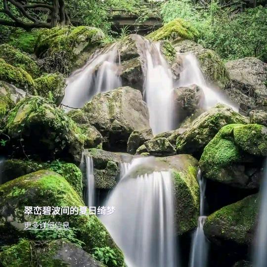 华艺