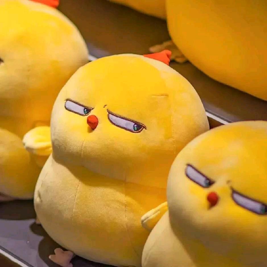 BiuTF(你总能在三角洲视频下发现我)