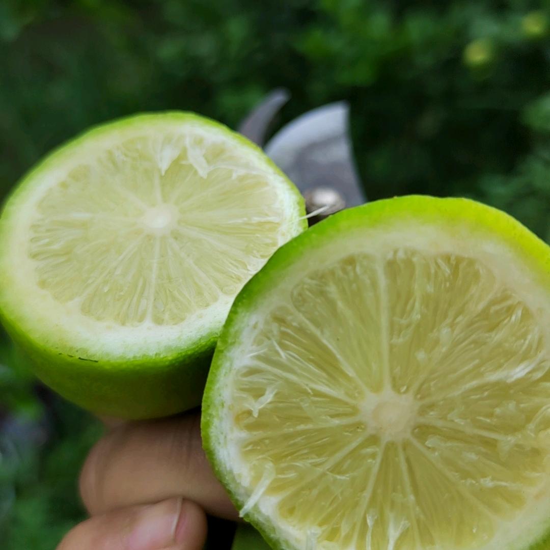 柠檬姐农副产品