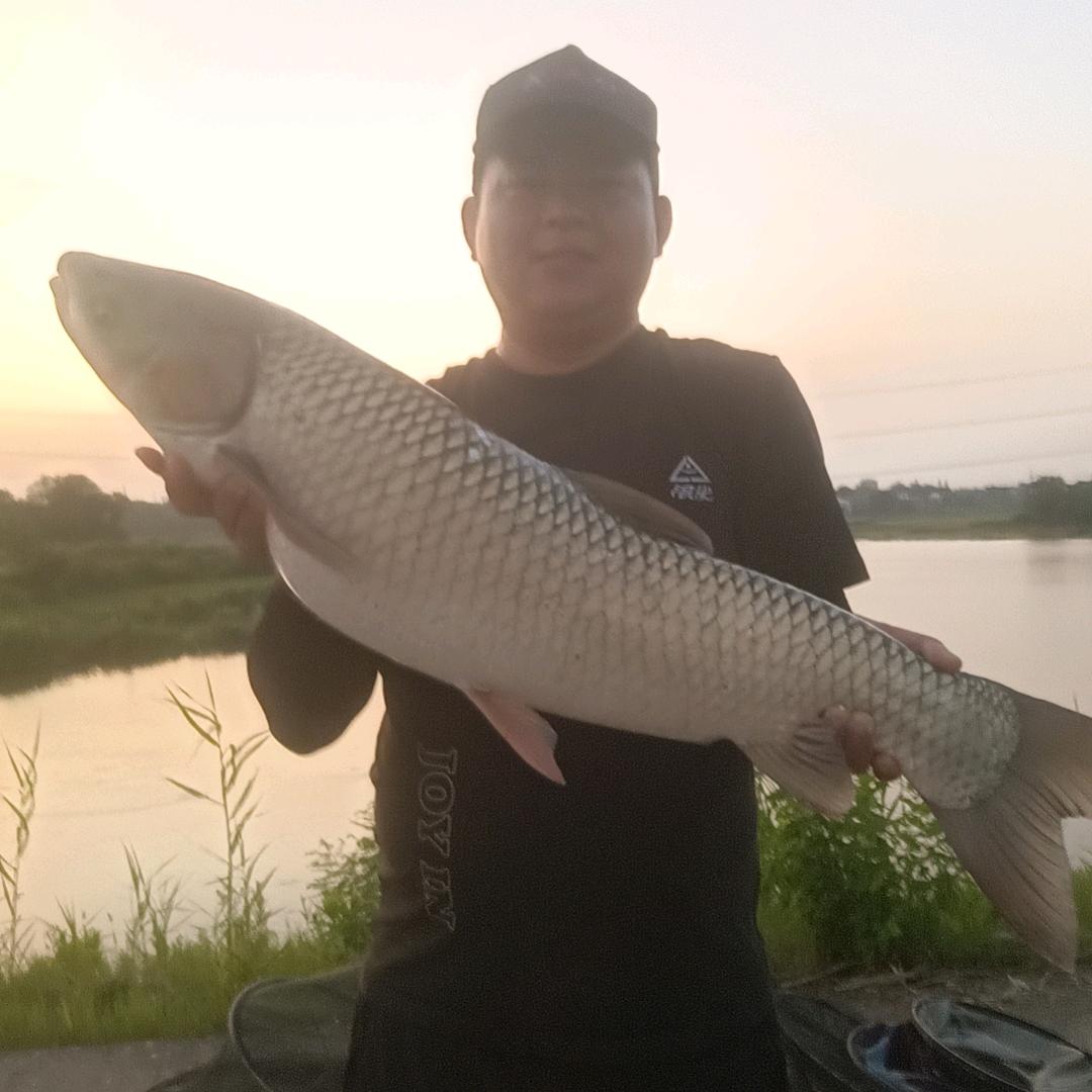 括板爱钓鱼🎣🎣