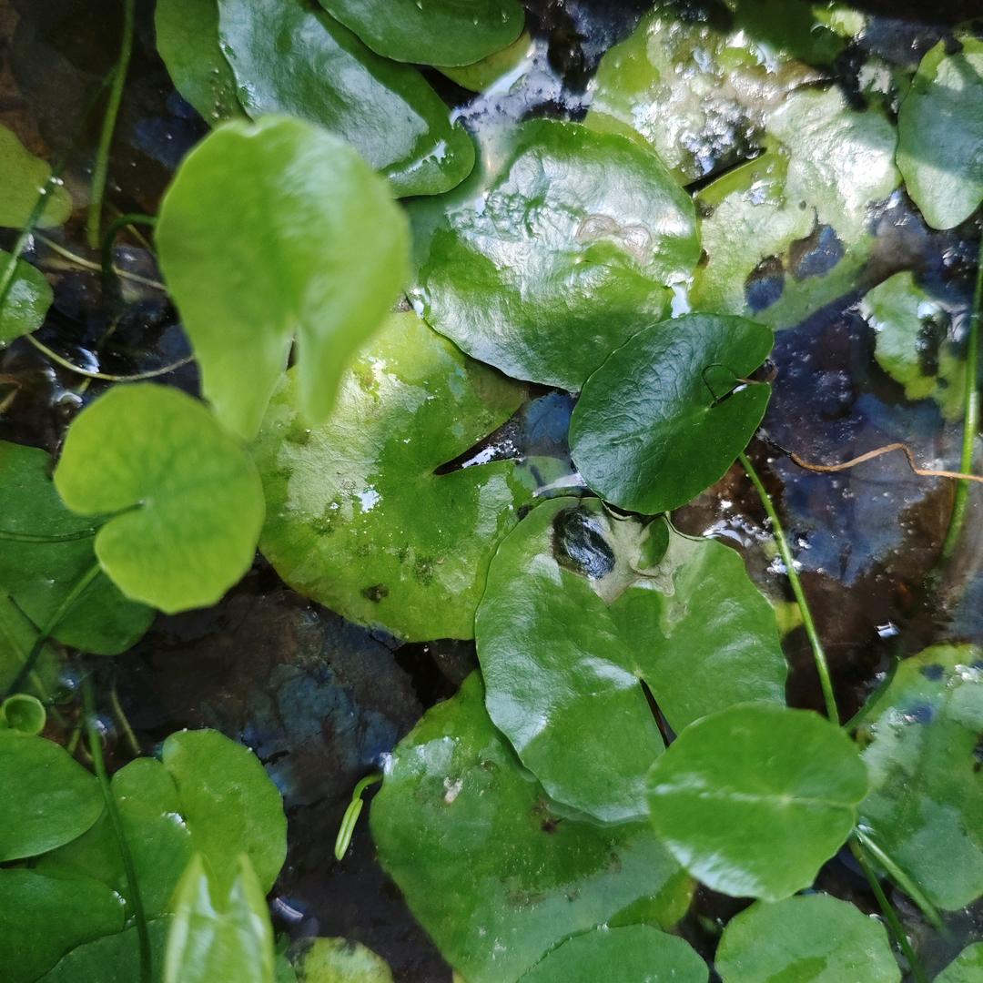 小汝精品小铺子