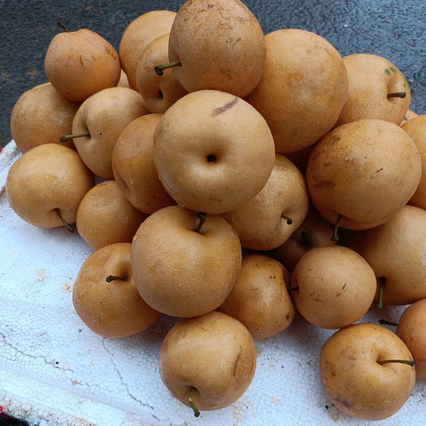 刘洋资中县高楼镇虎山