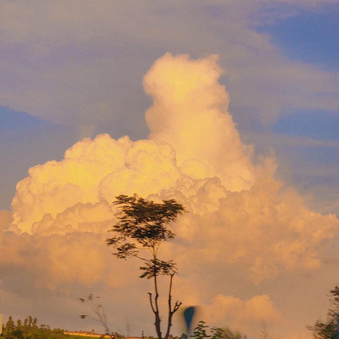 @小茗在长大🐮