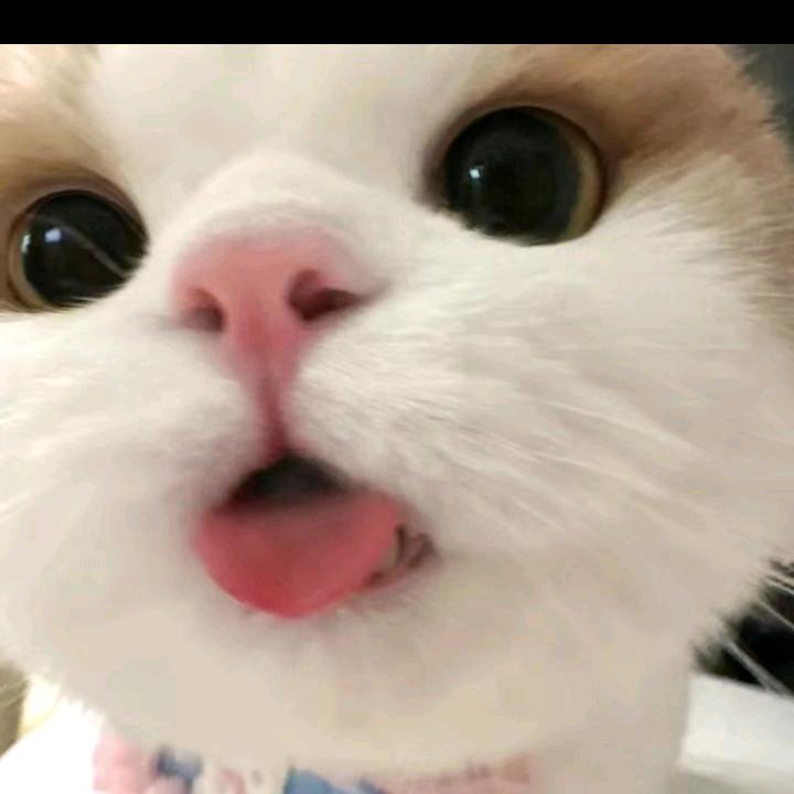 失落