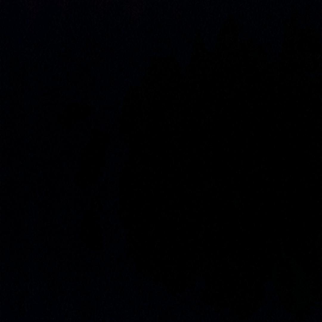 ㅤ ㅤ‍‍ ㅤ ㅤ‍‍