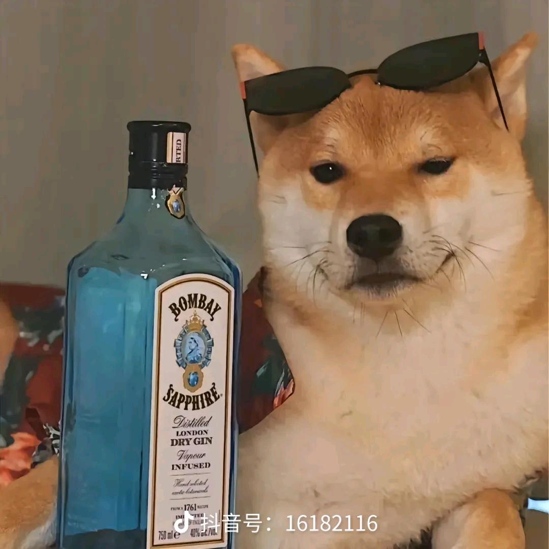 贪胖胖