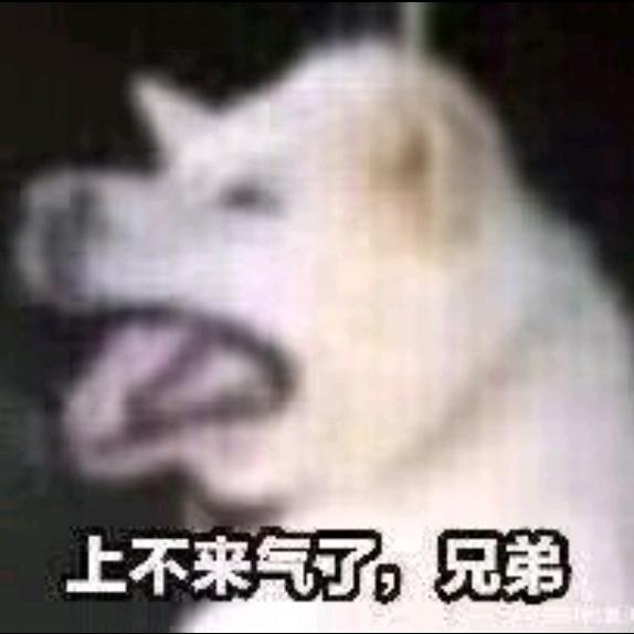 好好休息天天向上