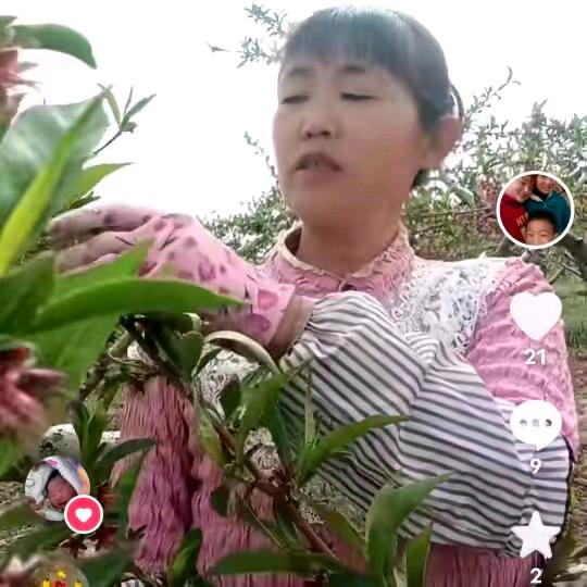 合阳桃子姐
