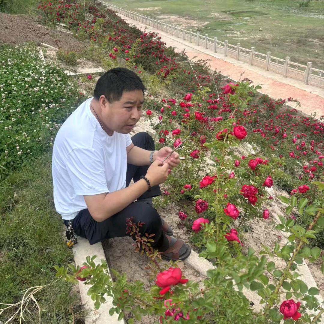 通渭羊哥优选