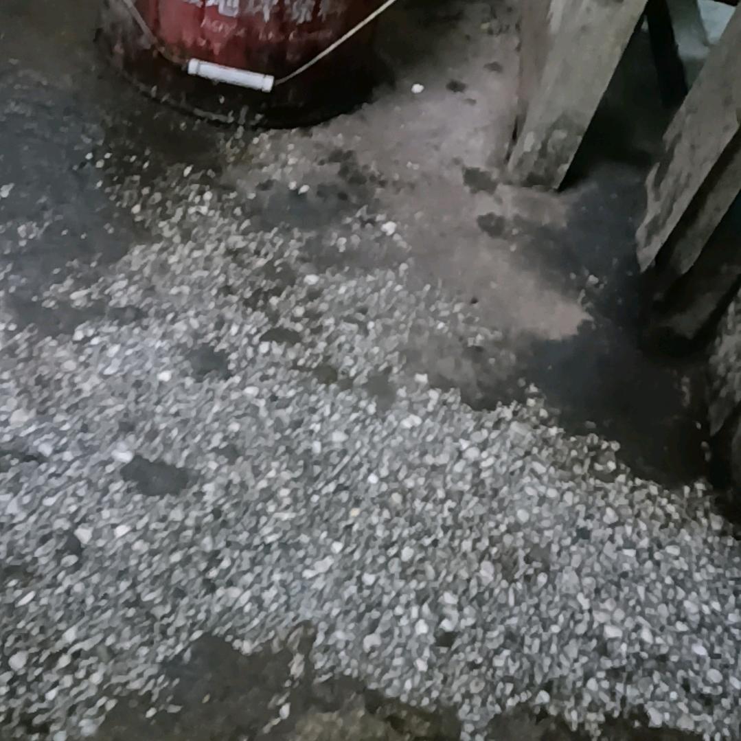 小哥哥
