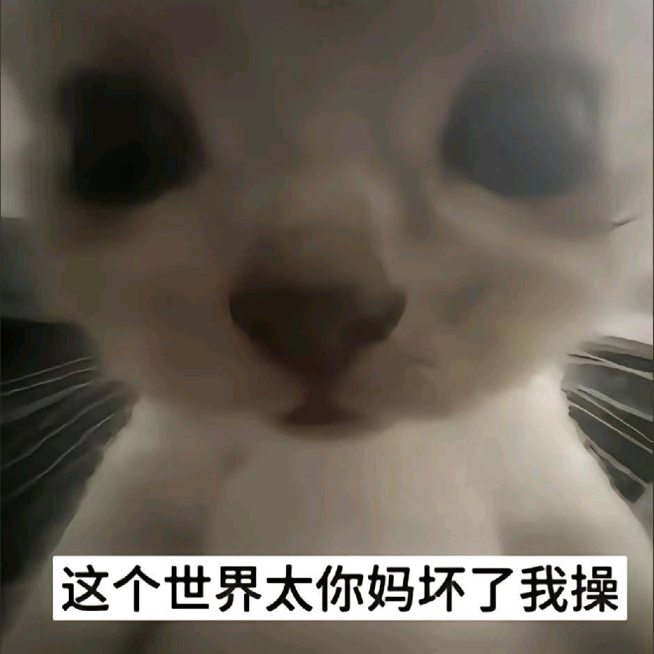 橙子