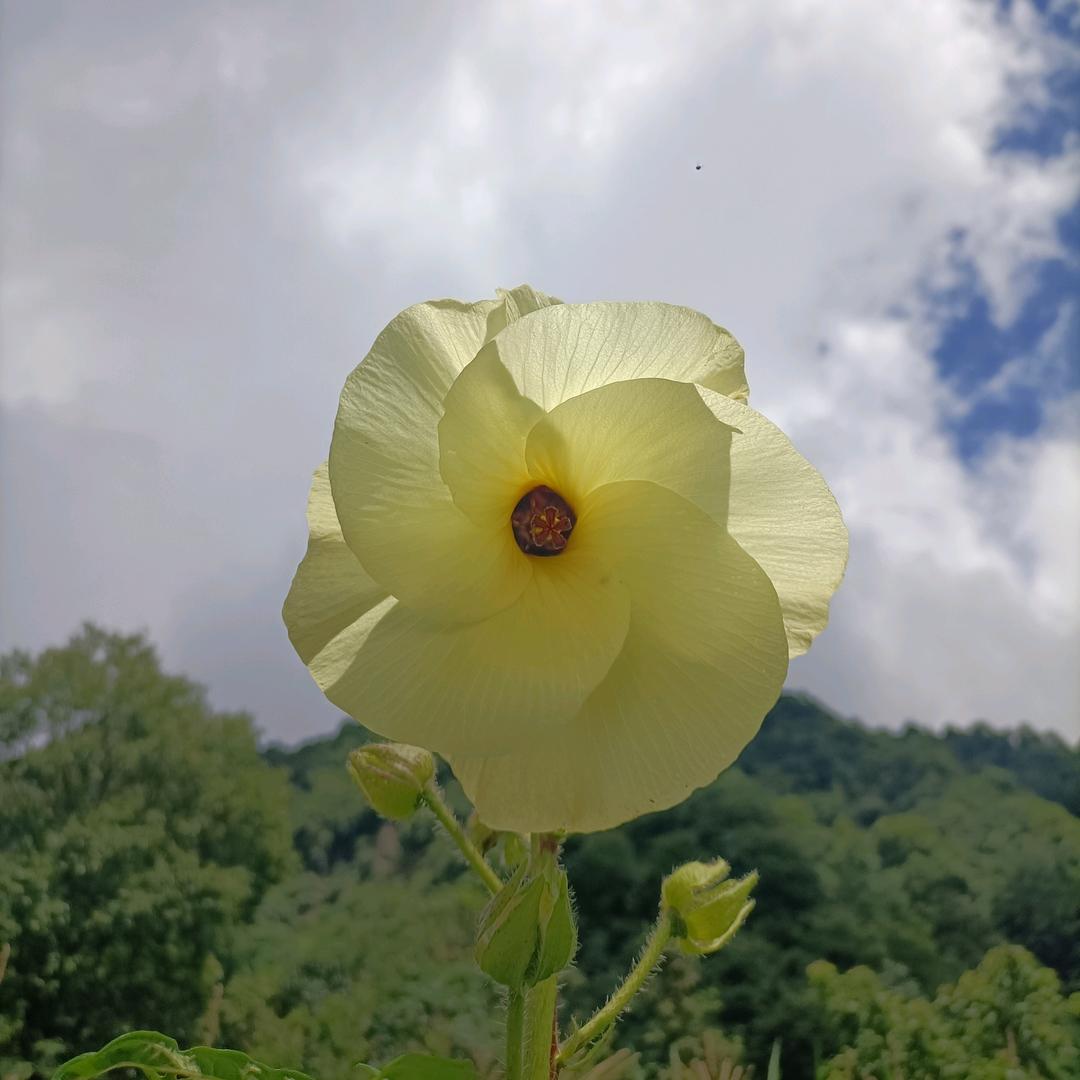 我是一个工地妹