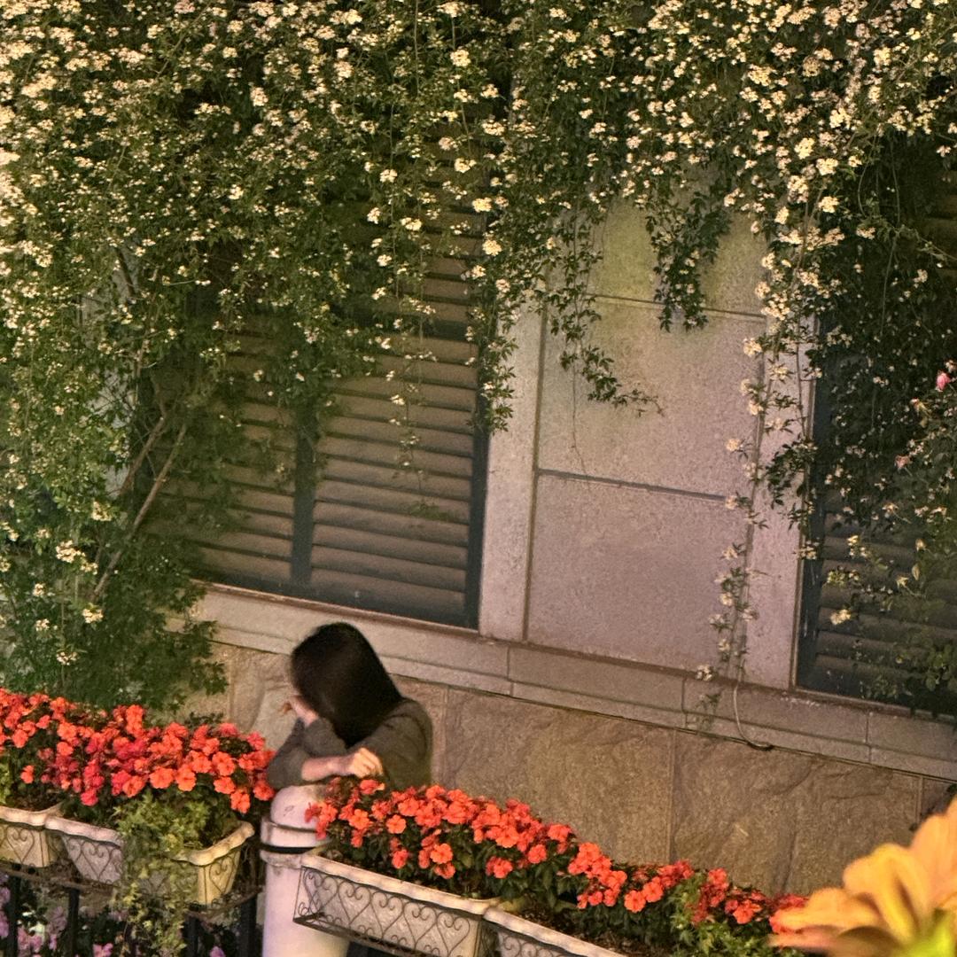 屁大点事分享者