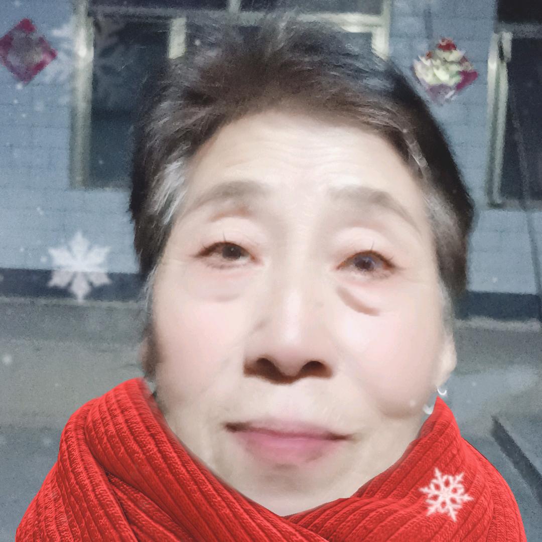 梅花3