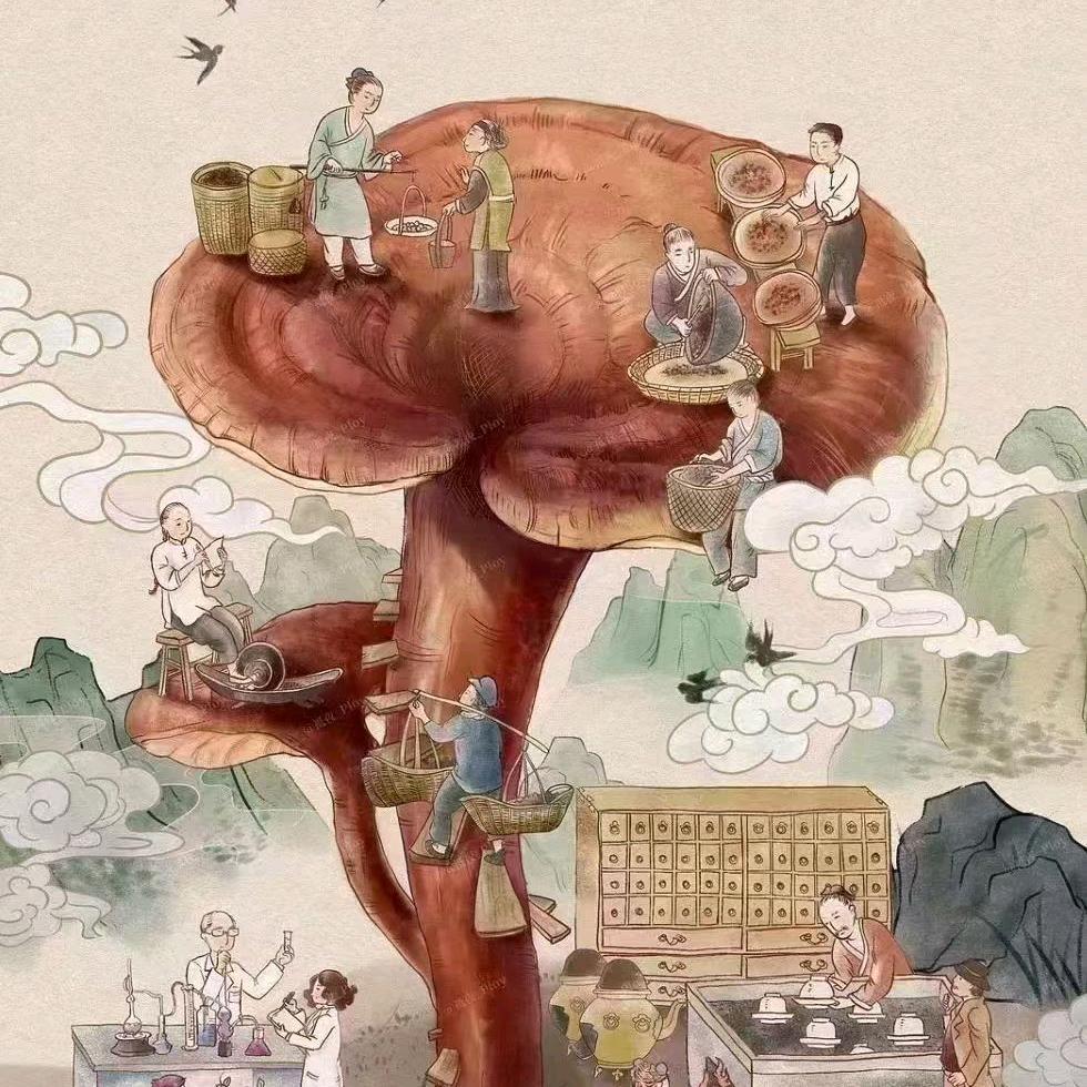 灵芝盆景 产地直销