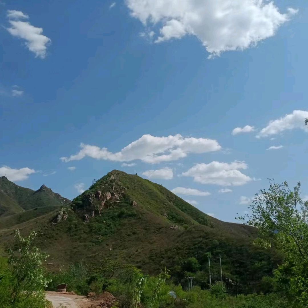 观山茶苑，街头茶坊