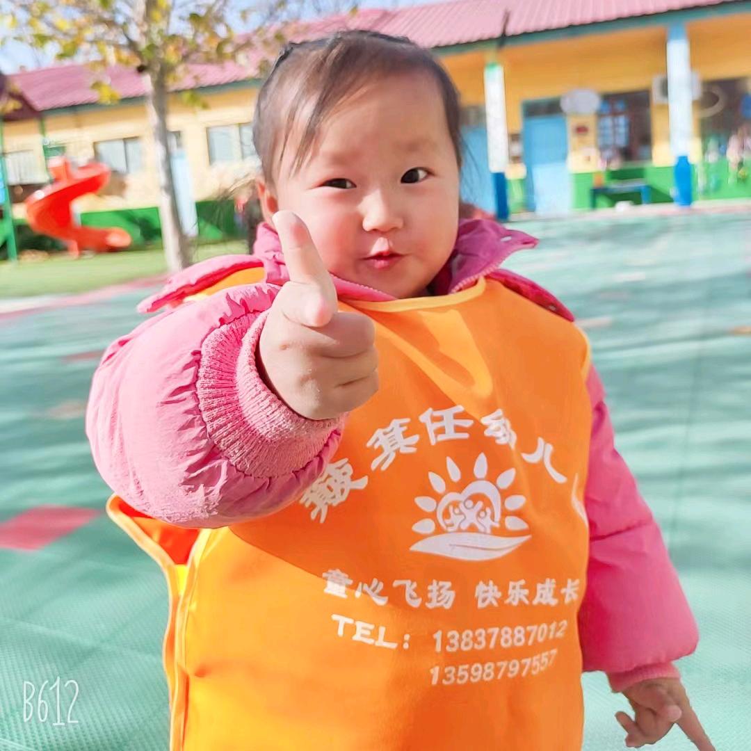 诺伊豪三宝
