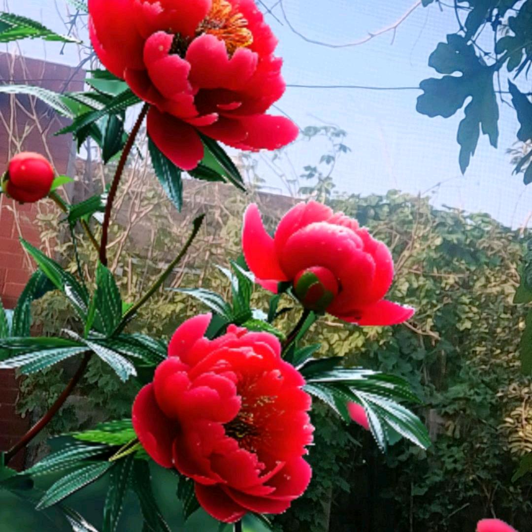 活水泉源
