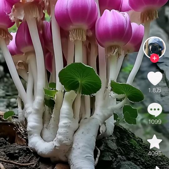 下雨天台