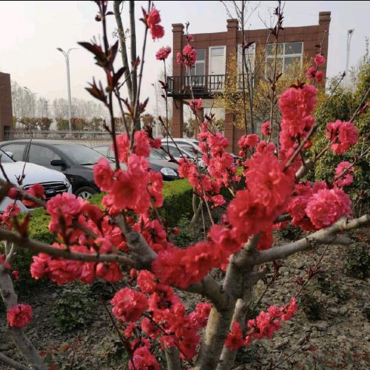 万富达包装🍎🍎🍎