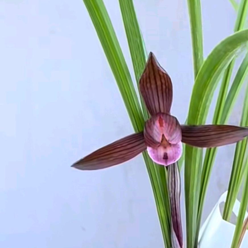 丰收🌾