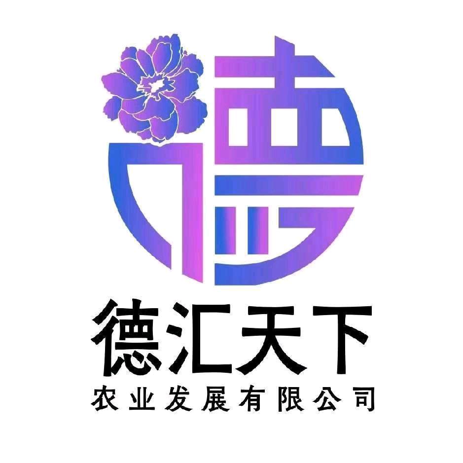 德汇天下刘蓉老师
