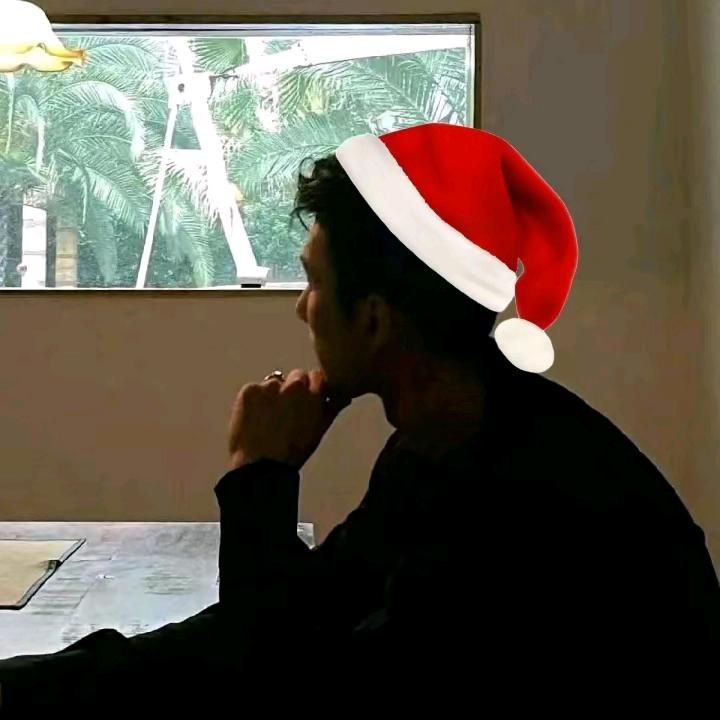 二皮