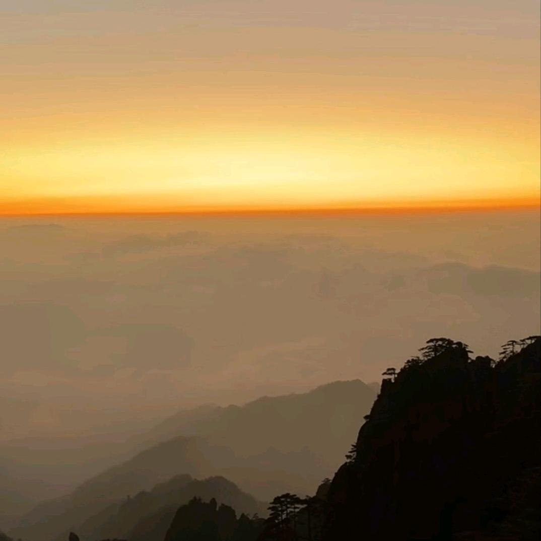 顺鑫如意