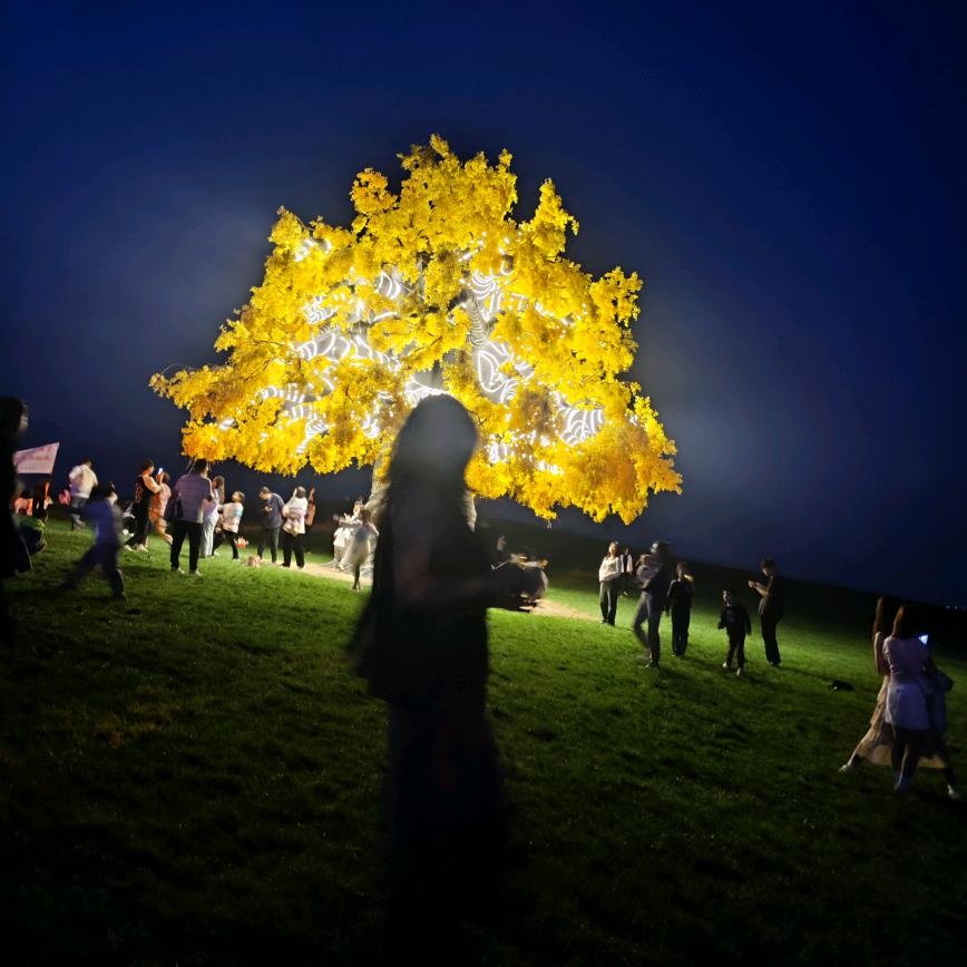 阳邑精品屋蛋糕