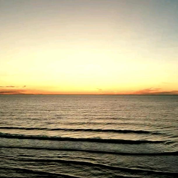 阳光下慵懒的猫咪