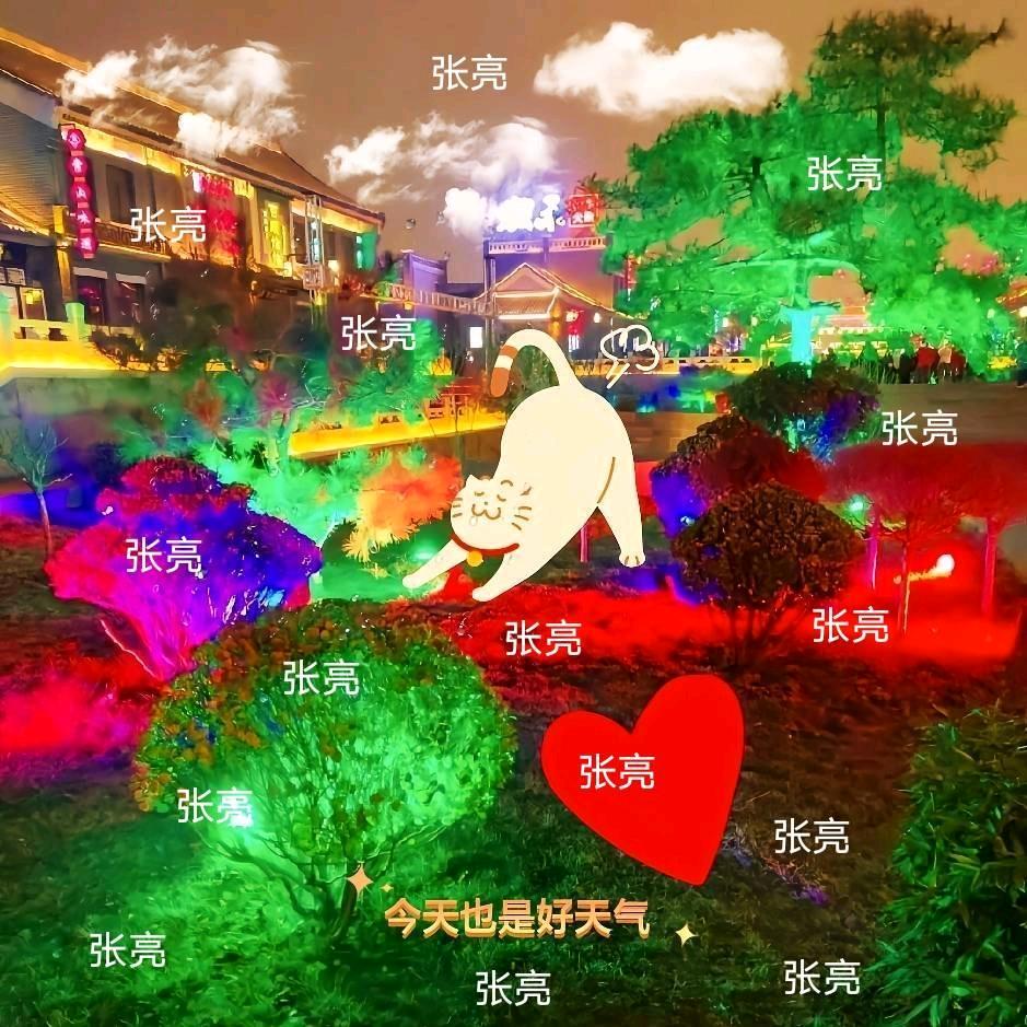 ❤张工资❤