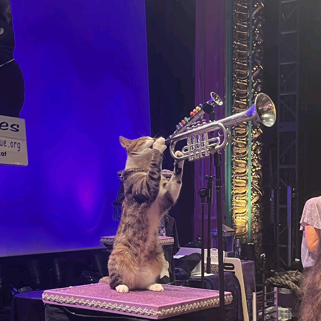 乱世怪人泥大炮