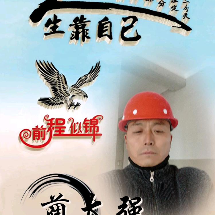 蔺太强