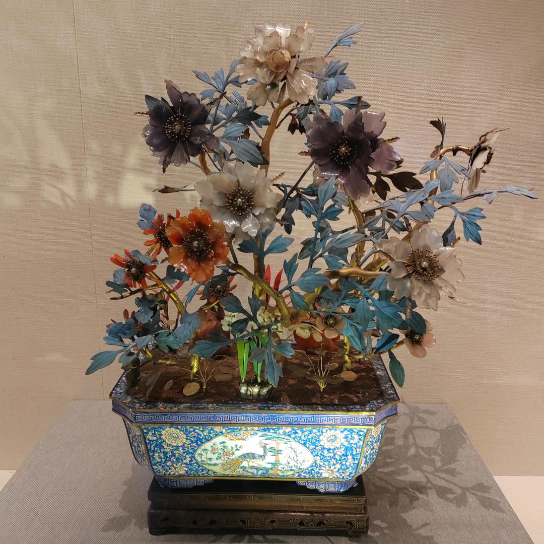 宁宁精选好物分享